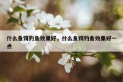 什么鱼饵钓鱼效果好，什么鱼饵钓鱼效果好一点