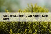 灭红火蚁什么药效果好，灭红火蚁用什么药最高有效