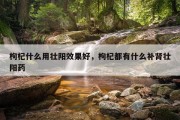 枸杞什么用壮阳效果好，枸杞都有什么补肾壮阳药