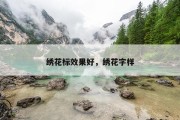 绣花标效果好，绣花字样