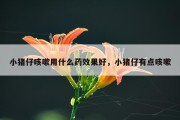 小猪仔咳嗽用什么药效果好，小猪仔有点咳嗽