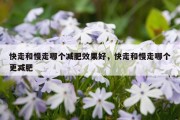 快走和慢走哪个减肥效果好，快走和慢走哪个更减肥