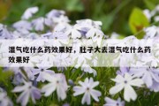 湿气吃什么药效果好，肚子大去湿气吃什么药效果好