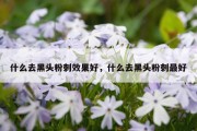 什么去黑头粉刺效果好，什么去黑头粉刺最好