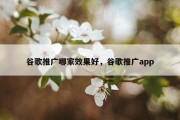 谷歌推广哪家效果好，谷歌推广app