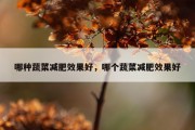 哪种蔬菜减肥效果好，哪个蔬菜减肥效果好