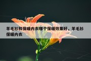 羊毛衫和保暖内衣哪个保暖效果好，羊毛衫 保暖内衣