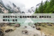 洛神花与什么一起泡水喝效果好，洛神花可以跟什么一起泡