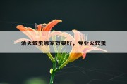 消灭蚊虫哪家效果好，专业灭蚊虫