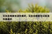 艾灸灸哪里祛湿效果好，艾灸灸哪里可以除湿效果最好