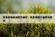 郑多燕哪部减肥效果好，郑多燕哪个减肥效果好