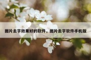 图片去字效果好的软件，图片去字软件手机版