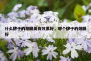 什么牌子的颈膜美白效果好，哪个牌子的颈膜好