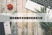 哪家隆胸手术效果好的简单介绍