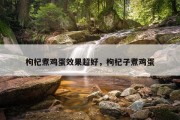 枸杞煮鸡蛋效果超好，枸杞子煮鸡蛋
