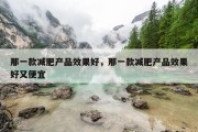 那一款减肥产品效果好，那一款减肥产品效果好又便宜