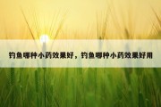 钓鱼哪种小药效果好，钓鱼哪种小药效果好用