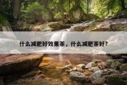 什么减肥好效果茶，什么减肥茶好?