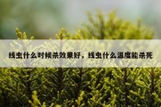 线虫什么时候杀效果好，线虫什么温度能杀死