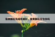 银黄颗粒为啥效果好，银黄颗粒见效快吗