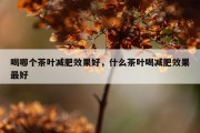 喝哪个茶叶减肥效果好，什么茶叶喝减肥效果最好