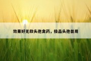 效果好无敌头孢禽药，极品头孢兽用