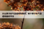 什么牌子的气垫遮瑕效果好，哪个牌子的气垫遮瑕最好平价