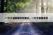 一叶子面膜那种效果好，一叶子面膜推荐