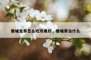 蚕蛹虫草怎么吃效果好，蚕蛹草治什么