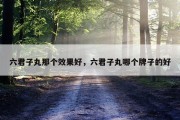 六君子丸那个效果好，六君子丸哪个牌子的好