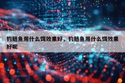 钓鲢鱼用什么饵效果好，钓鲢鱼用什么饵效果好呢