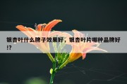 银杏叶什么牌子效果好，银杏叶片哪种品牌好!?