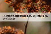 月经推迟不来吃啥药效果好，月经推迟不来,吃什么药好
